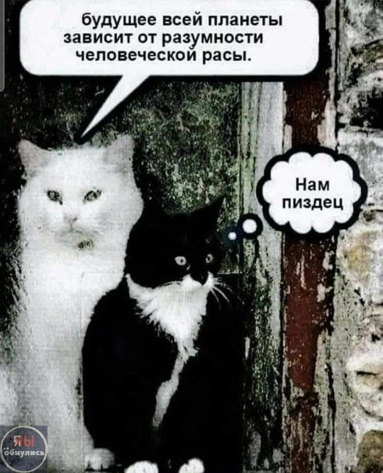 будущее всей планеты зависит от разумности человеческой расы. Нам пиздец