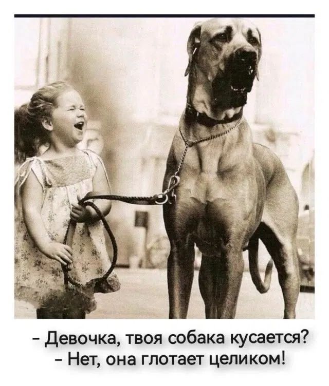 - Девочка, твоя собака кусается? - Нет, она глотает целиком!