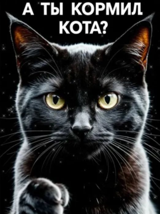 А ТЫ КОРМИЛ КОТА?