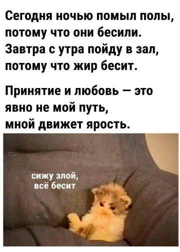 Сегодня ночью помыл полы, потому что они бесили. Завтра с утра пойду в зал, потому что жир бесит. Принятие и любовь — это явно не мой путь, мной движет ярость. сижу злой, всё бесит