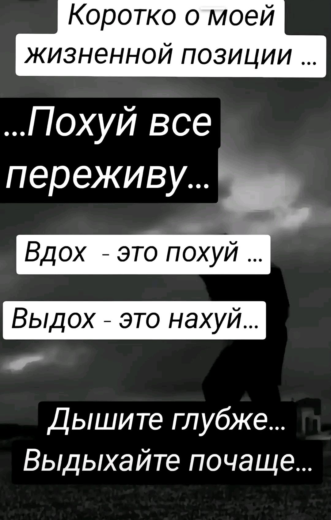 Коротко о моей жизненной позиции ... ...Похуй все переживу... Вдох - это похуй ... Выдох - это нахуй... Дышите глубже... Выдыхайте почаще...