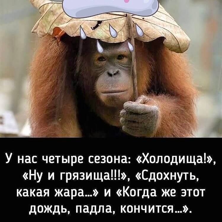 У нас четыре сезона: «Холодища!», «Ну и грязища!!!», «Сдохнуть, какая жара...» и «Когда же этот дождь, падла, кончится...».