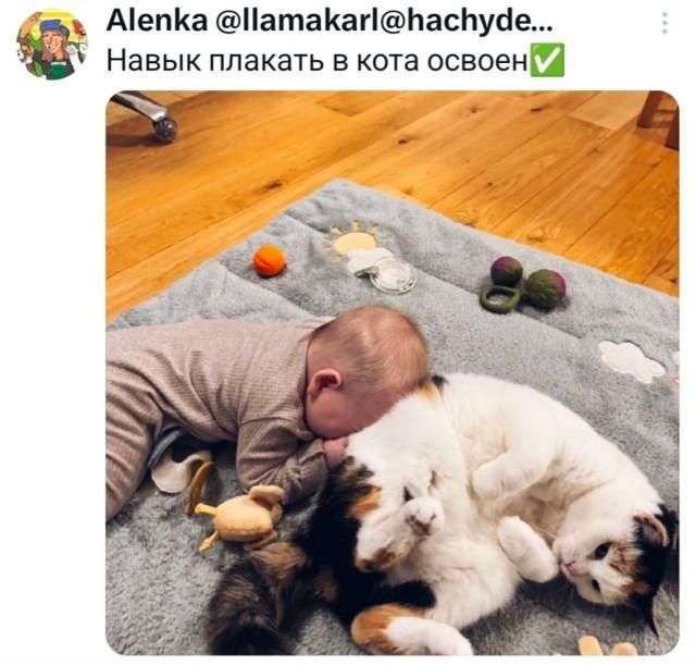 Навык плакать в кота освоен