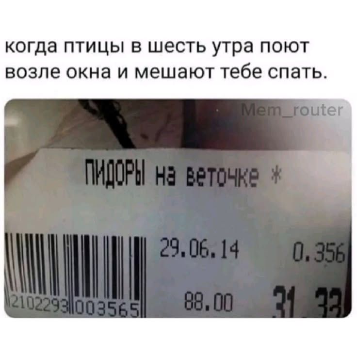 когда птицы в шесть утра поют возле окна и мешают тебе спать. ПИДОРЫ на веточке *