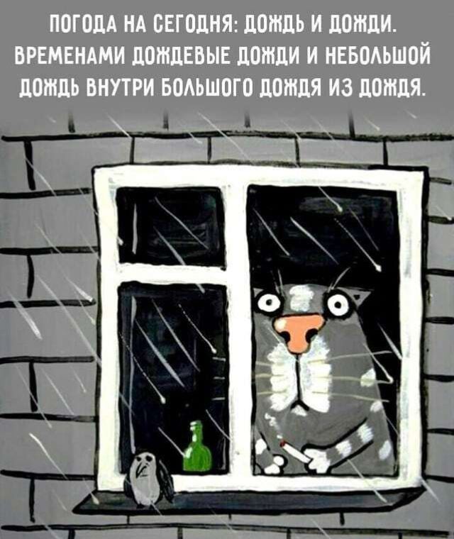 ПОГОДА НА СЕГОДНЯ: ДОЖДЬ И ДОЖДИ. ВРЕМЕНАМИ ДОЖДЕВЫЕ ДОЖДИ И НЕБОЛЬШОЙ ДОЖДЬ ВНУТРИ БОЛЬШОГО ДОЖДЯ ИЗ ДОЖДЯ.
