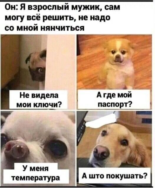 Он: Я взрослый мужик, сам могу всё решить, не надо со мной нянчиться. Не видела мои ключи? А где мой паспорт? У меня температура. А што покушать?