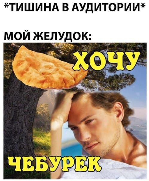 *ТИШИНА В АУДИТОРИИ* МОЙ ЖЕЛУДОК: ХОЧУ ЧЕБУРЕК