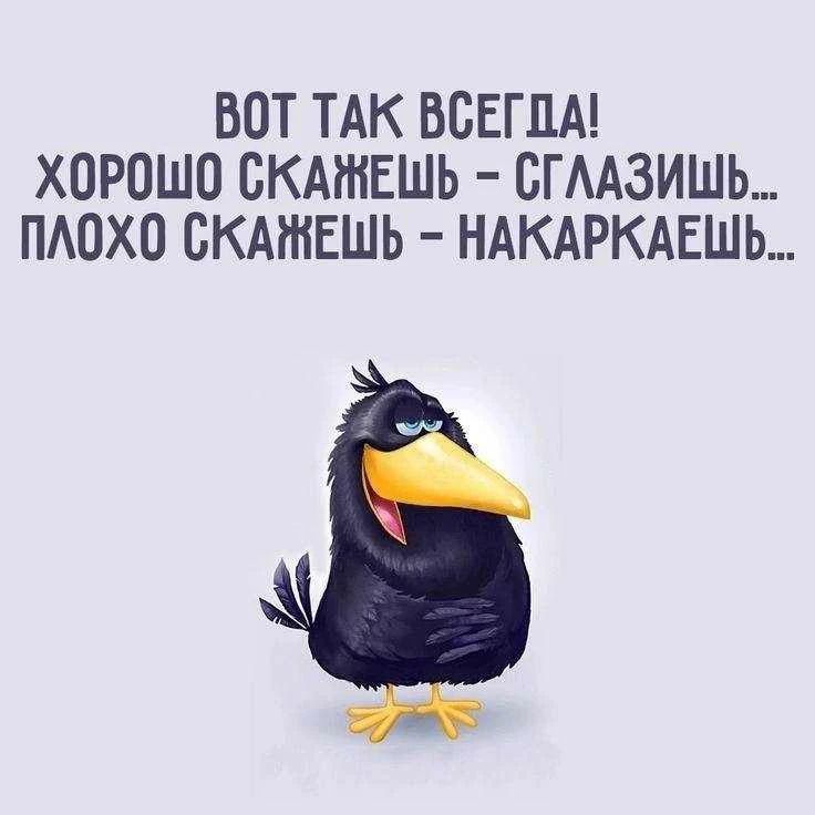 ВОТ ТАК ВСЕГДА! ХОРОШО СКАЖЕШЬ – СГЛАЗИШЬ... ПЛОХО СКАЖЕШЬ – НАКАРКАЕШЬ...