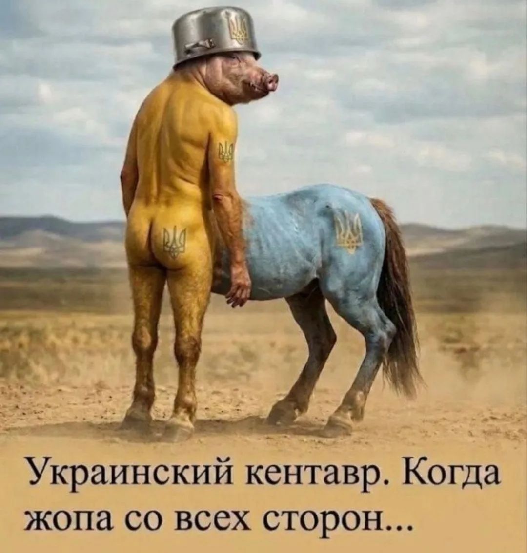 Украинский кентавр. Когда жопа со всех сторон...