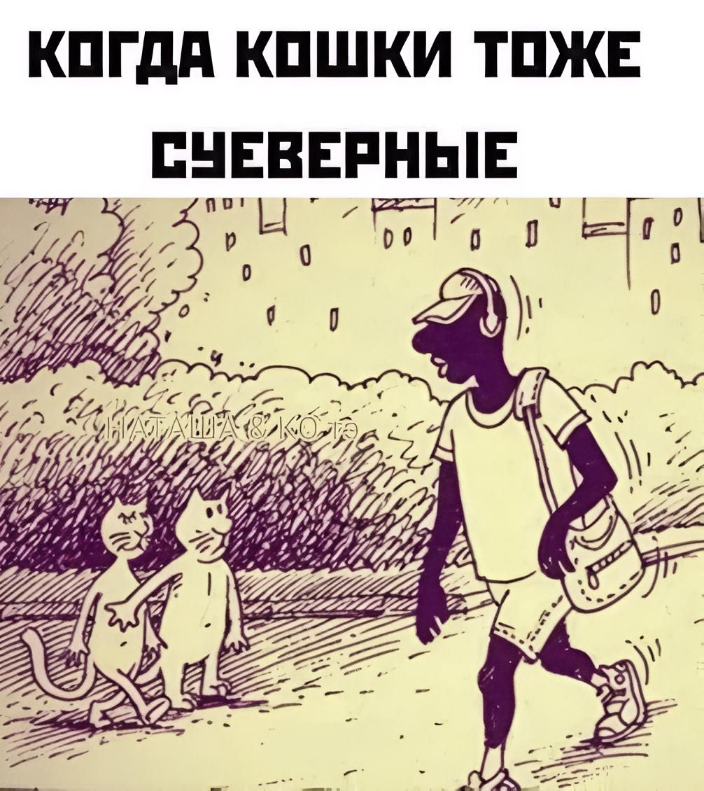 КОГДА КОШКИ ТОЖЕ СУЕВЕРНЫЕ