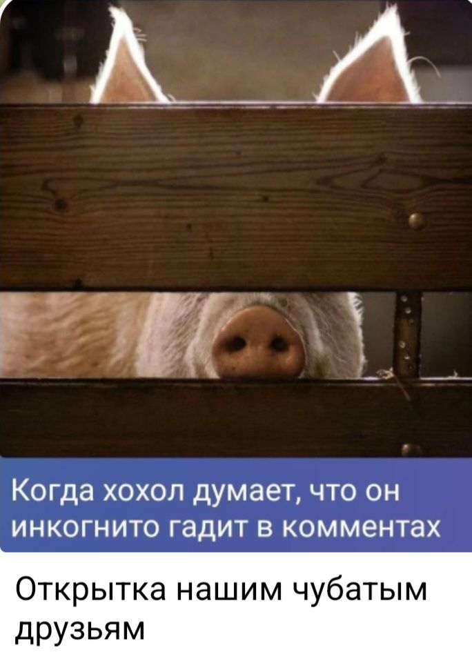 Когда хохол думает, что он инкогнито гадит в комментах. Открытка нашим чубатым друзьям.