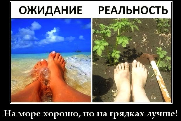 ОЖИДАНИЕ РЕАЛЬНОСТЬ На море хорошо, но на грядках лучше!