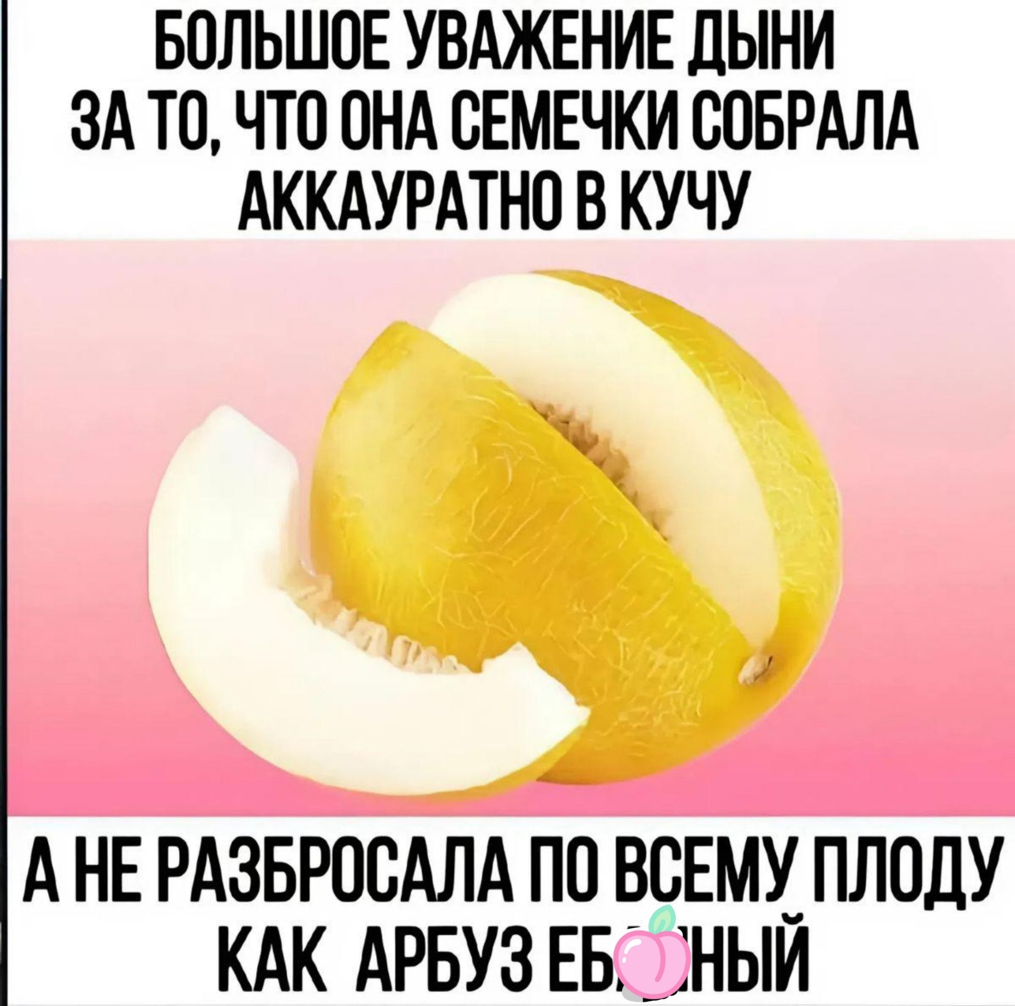 БОЛЬШОЕ УВАЖЕНИЕ ДЫНИ ЗА ТО, ЧТО ОНА СЕМЕЧКИ СОБРАЛА АККАУРАТНО В КУЧУ А НЕ РАЗБРОСАЛА ПО ВСЕМУ ПЛОДУ КАК АРБУЗ ЕБ...НЫЙ
