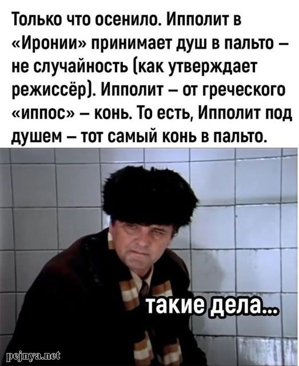 Только что осенило. Ипполит в «Иронии» принимает душ в пальто – не случайность (как утверждает режиссёр). Ипполит – от греческого «иппос» – конь. То есть, Ипполит под душем – тот самый конь в пальто. такие дела...