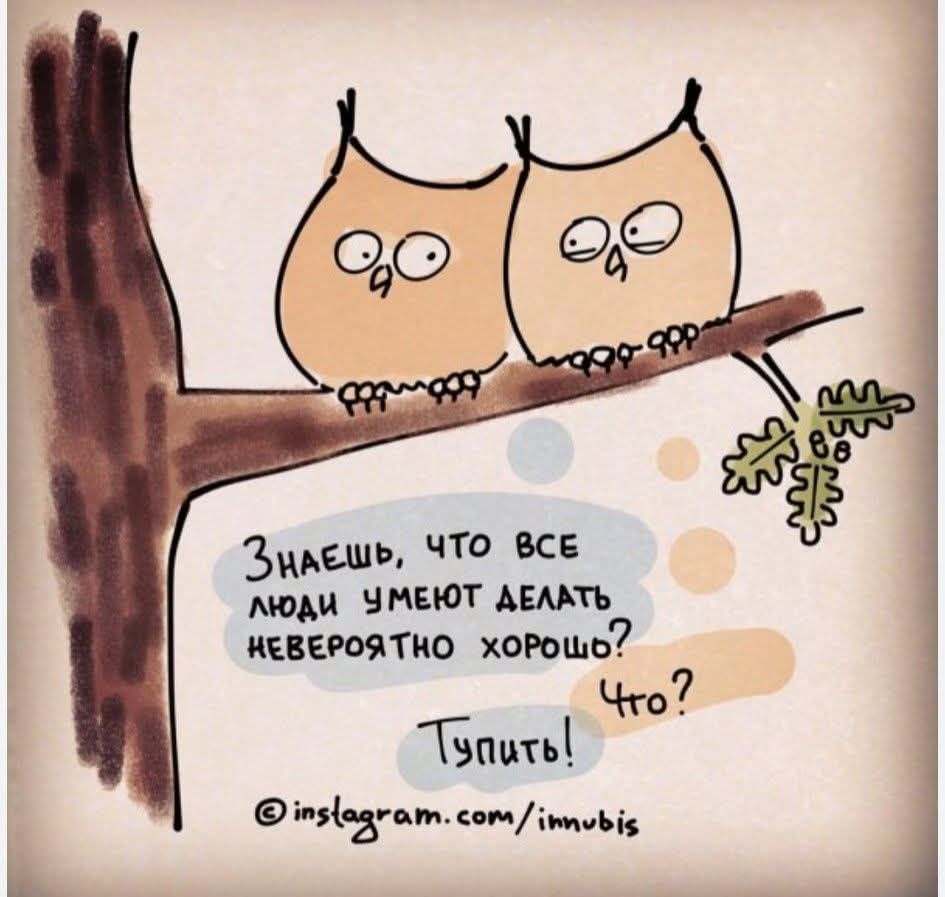 Знаешь, что все люди умеют делать невероятно хорошо? Что? Тупить! © instagram.com/innubis