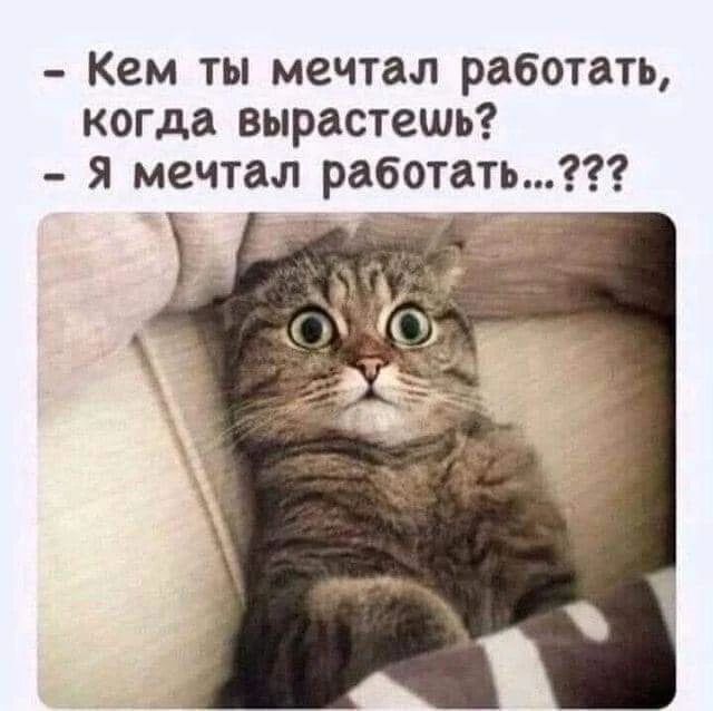 - Кем ты мечтал работать, когда вырастешь? - Я мечтал работать...???