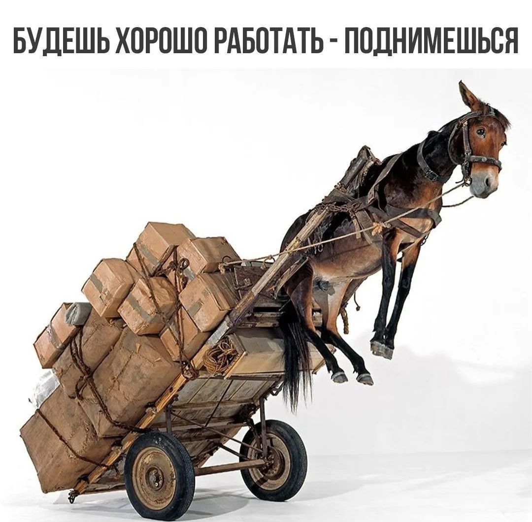 БУДЕШЬ ХОРОШО РАБОТАТЬ - ПОДНИМЕШЬСЯ