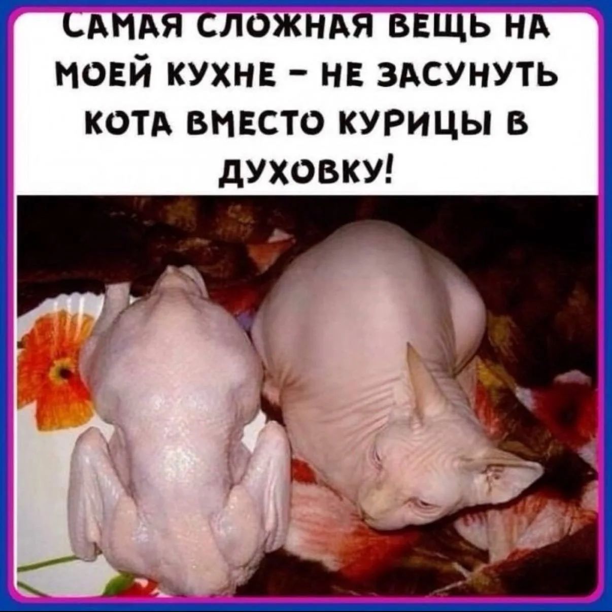 САМАЯ СЛОЖНАЯ ВЕЩЬ НА МОЕЙ КУХНЕ - НЕ ЗАСУНУТЬ КОТА ВМЕСТО КУРИЦЫ В ДУХОВКУ!