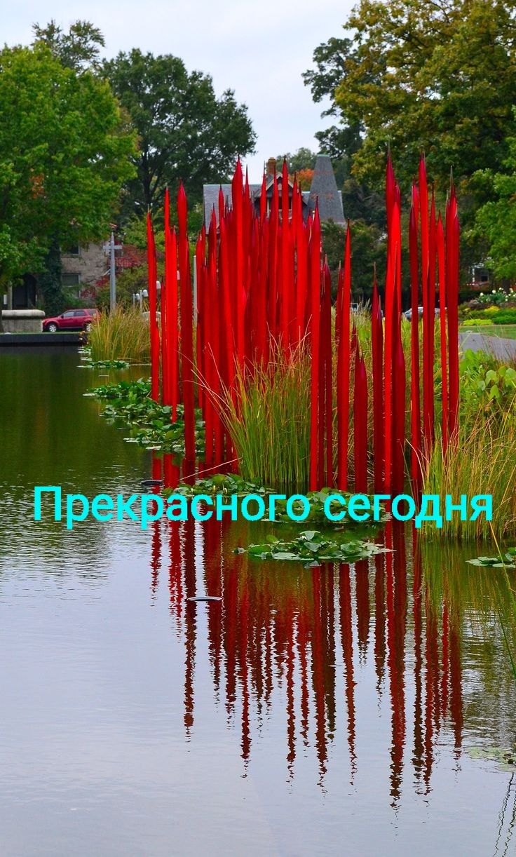 Прекрасного сегодня