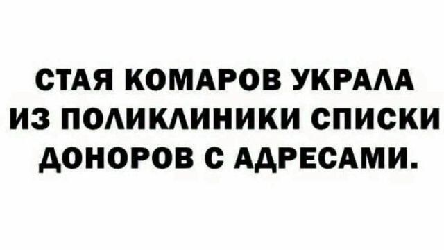 СТАЯ КОМАРОВ УКРАЛА ИЗ ПОЛИКЛИНИКИ СПИСКИ ДОНОРОВ С АДРЕСАМИ.