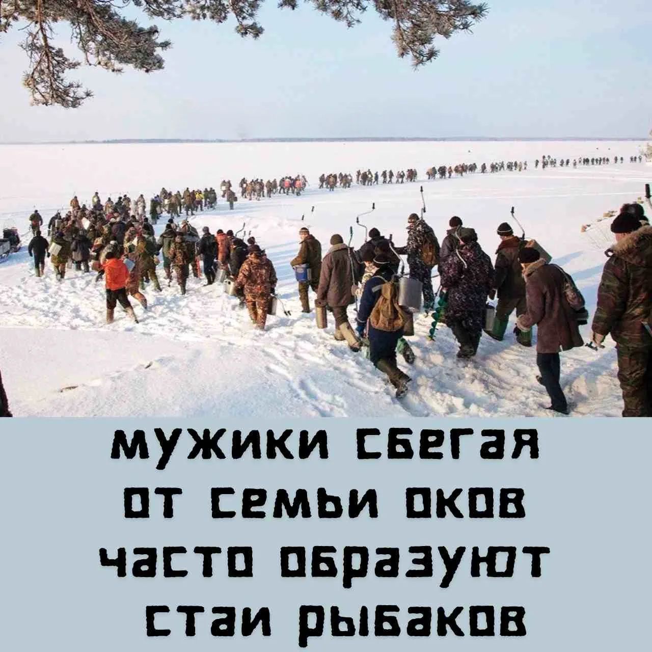 МУЖИКИ СБЕГАЯ ОТ СЕМЬИ ОКОВ ЧАСТО ОБРАЗУЮТ СТАИ РЫБАКОВ