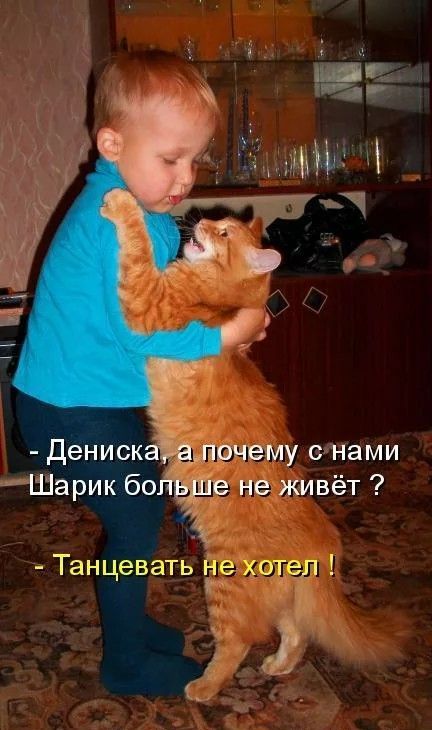 - Дениска, а почему с нами Шарик больше не живёт ?
- Танцевать не хотел !