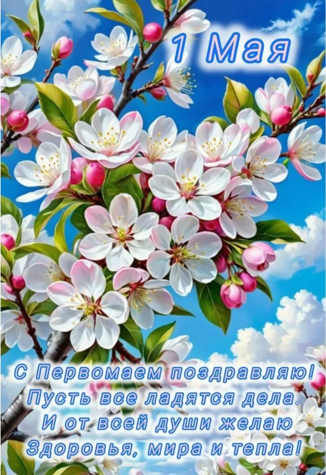 1 Мая С Первомаем поздравляю! Пусть все ладятся дела. И от всей души желаю Здоровья, мира и тепла!