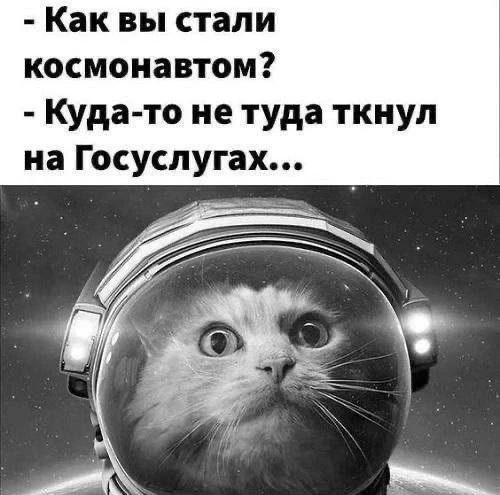 Как вы стали космонавтом? Куда-то не туда ткнул на Госуслугах...