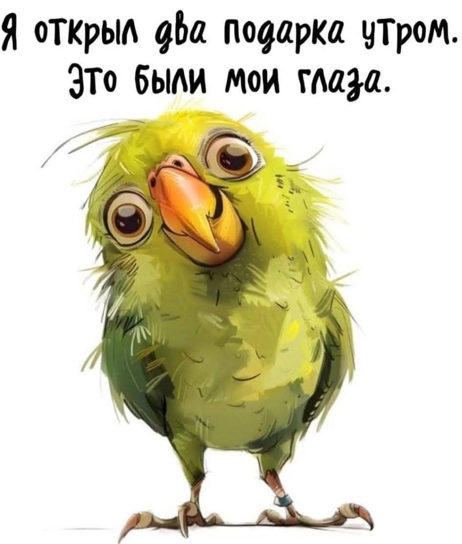 Я открыл два подарка утром. Это были мои глаза.