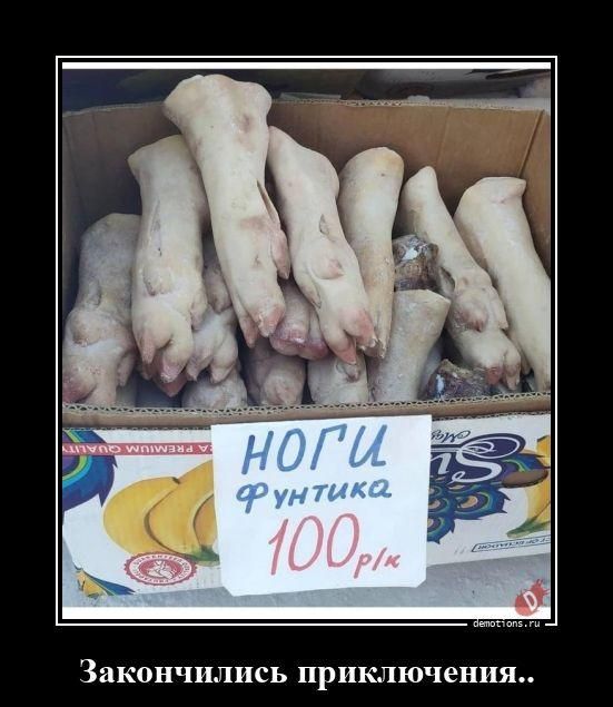 НОГИ ФУНТИКА 100 р/кг Закончились приключения..