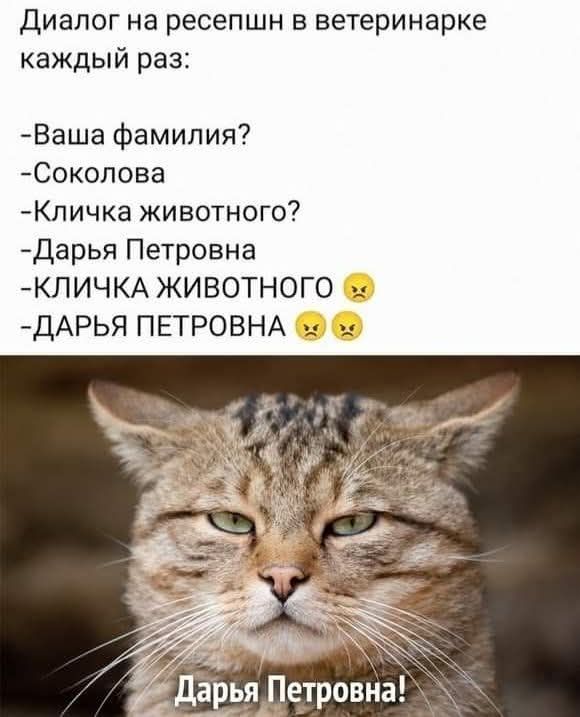 Диалог на ресепшн в ветеринарке каждый раз:
-Ваша фамилия?
-Соколова
-Кличка животного?
-Дарья Петровна
-КЛИЧКА ЖИВОТНОГО 😠😠
-ДАРЬЯ ПЕТРОВНА 😠😠
Дарья Петровна!