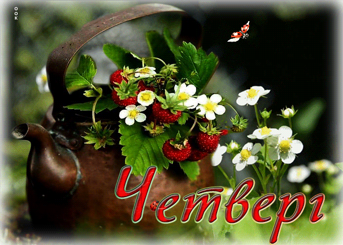 Четверг
OOK
