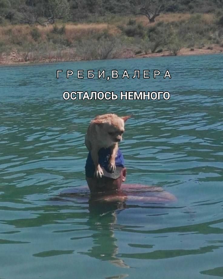 ГРЕБИ, ВАЛЕРА ОСТАЛОСЬ НЕМНОГО