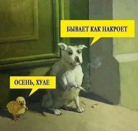 БЫВАЕТ КАК НАКРОЕТ ОСЕНЬ, ХУЛЕ