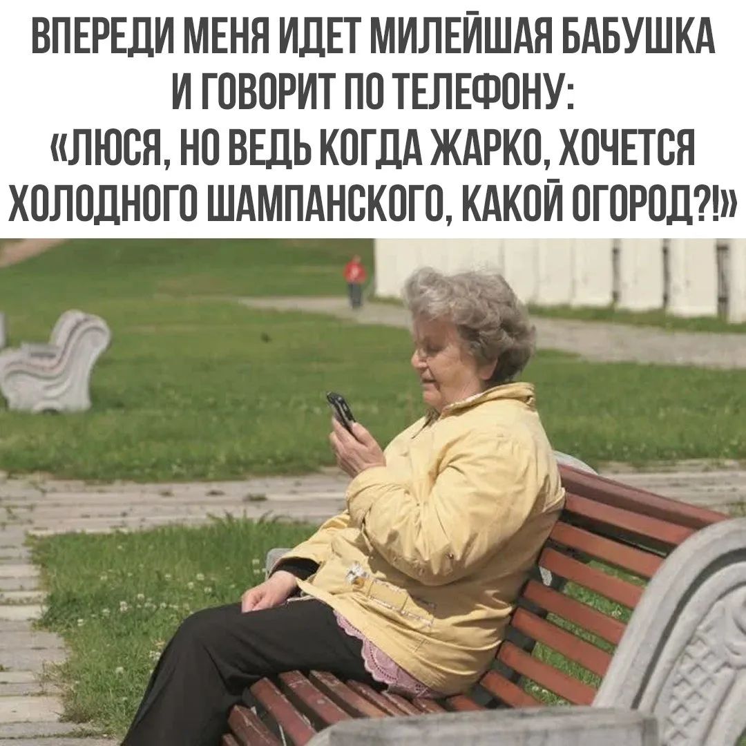 ВПЕРЕДИ МЕНЯ ИДЕТ МИЛЕЙШАЯ БАБУШКА И ГОВОРИТ ПО ТЕЛЕФОНУ: «ЛЮСЯ, НО ВЕДЬ КОГДА ЖАРКО, ХОЧЕТСЯ ХОЛОДНОГО ШАМПАНСКОГО, КАКОЙ ОГОРОД?!»