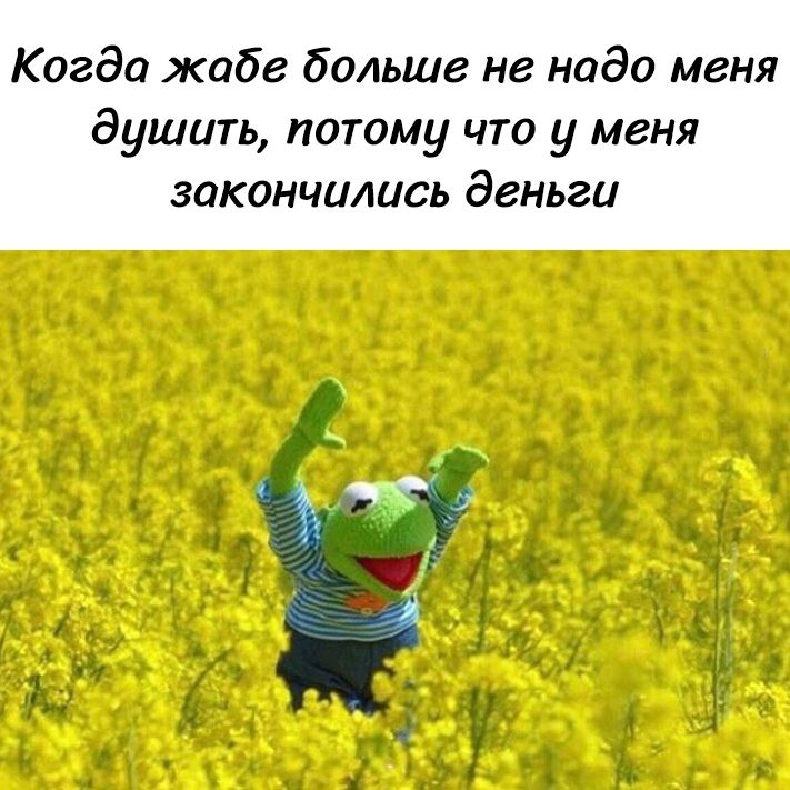 Когда жабе больше не надо меня душить, потому что у меня закончились деньги
