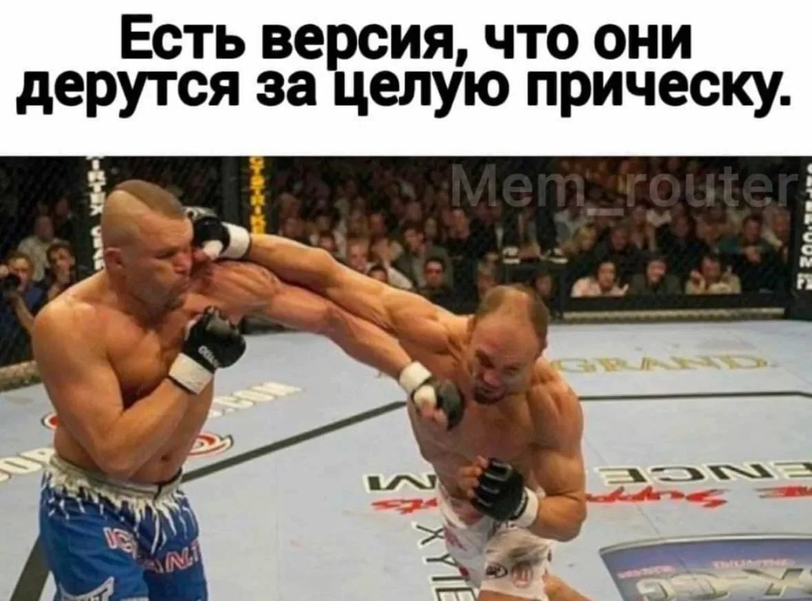 Есть версия, что они дерутся за целую прическу.