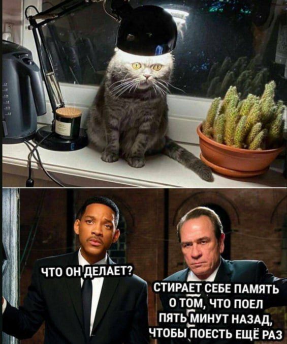 ЧТО ОН ДЕЛАЕТ? СТИРАЕТ СЕБЕ ПАМЯТЬ О ТОМ, ЧТО ПОЕЛ ПЯТЬ МИНУТ НАЗАД, ЧТОБЫ ПОЕСТЬ ЕЩЁ РАЗ