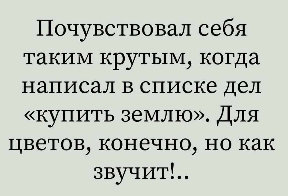 Почувствовал себя таким крутым, когда написал в списке дел «купить землю». Для цветов, конечно, но как звучит!...