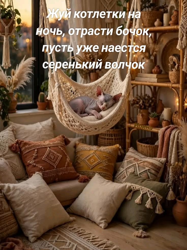Жуй котлетки на ночь, отрасти бочок, пусть уже наестся серенький волчок