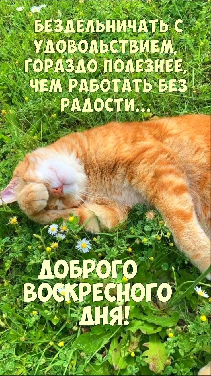 БЕЗДЕЛЬНИЧАТЬ С УДОВОЛЬСТВИЕМ, ГОРАЗДО ПОЛЕЗНЕЕ, ЧЕМ РАБОТАТЬ БЕЗ РАДОСТИ... ДОБРОГО ВОСКРЕСНОГО ДНЯ!