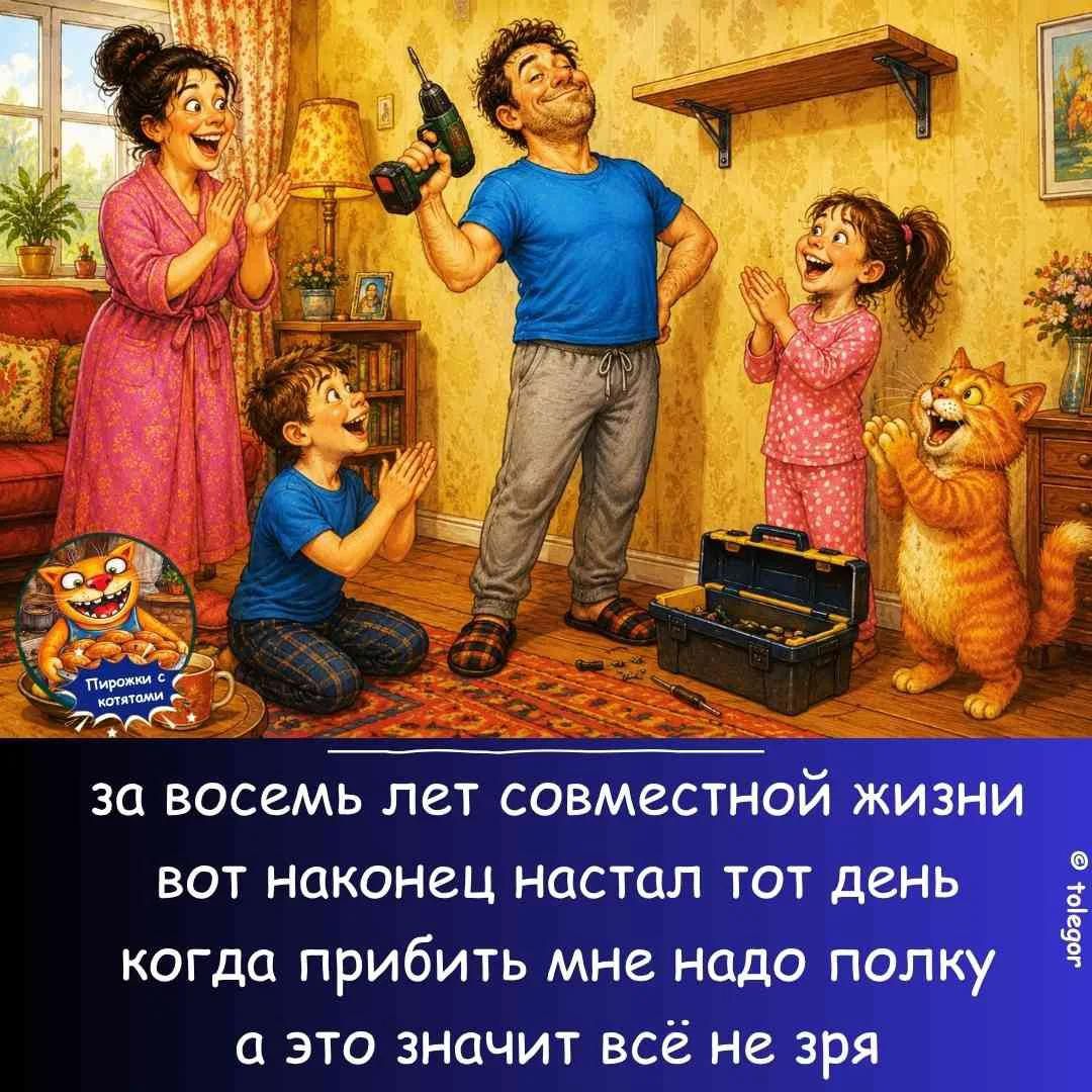 Пирожки с котятами. За восемь лет совместной жизни вот наконец настал тот день, когда прибить мне надо полку, а это значит всё не зря.