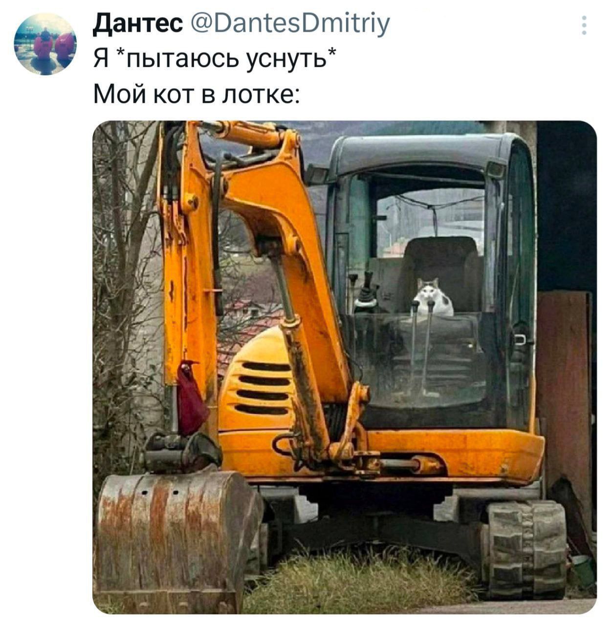 Дантес @DantesDmitriy Я *пытаюсь уснуть* Мой кот в лотке: