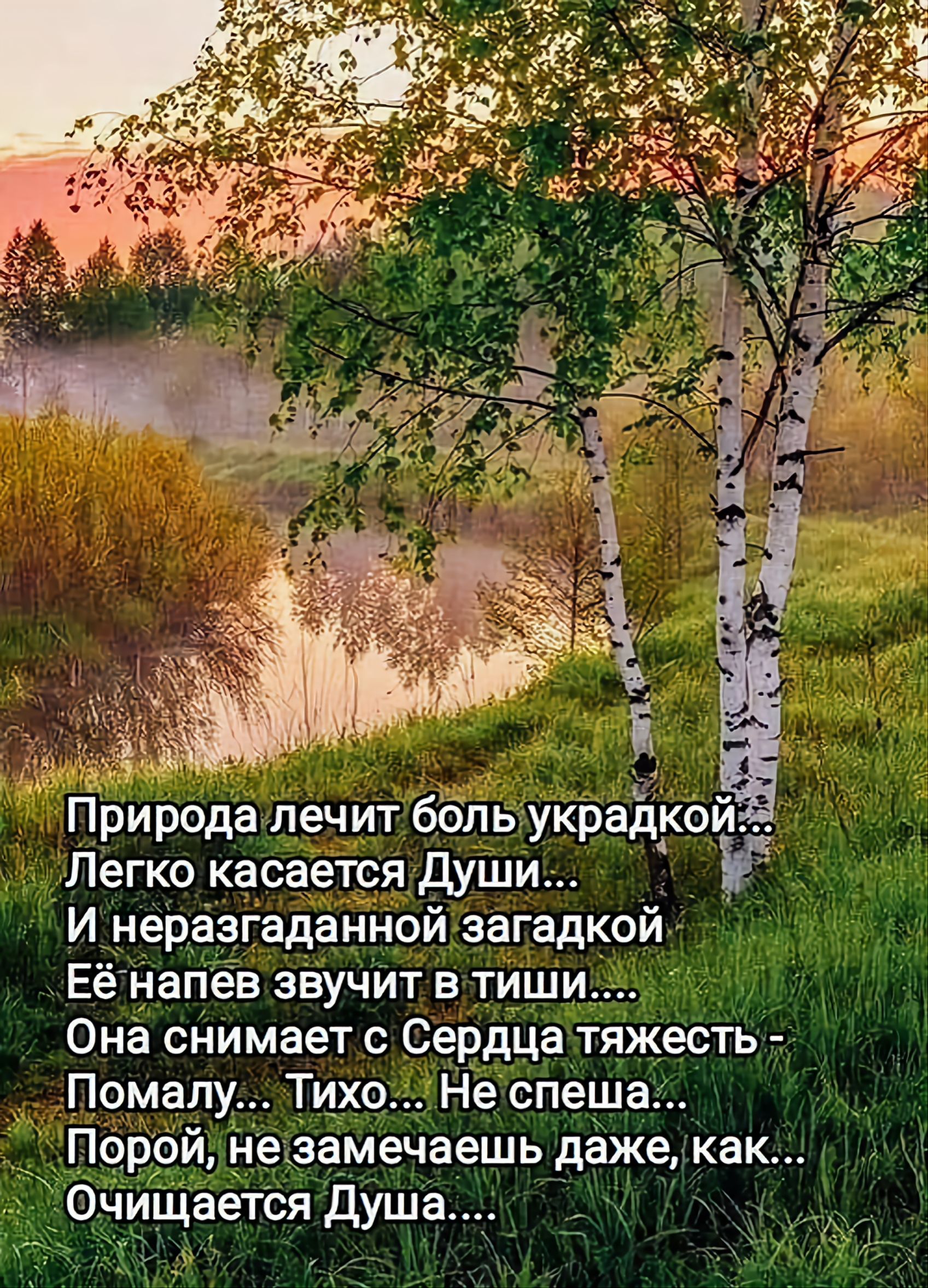 Природа лечит боль украдкой...
Легко касается Души...
И неразгаданной загадкой
Её напев звучит в тиши....
Она снимает с Сердца тяжесть -
Помалу... Тихо... Не спеша...
Порой, не замечаешь даже, как...
Очищается Душа....