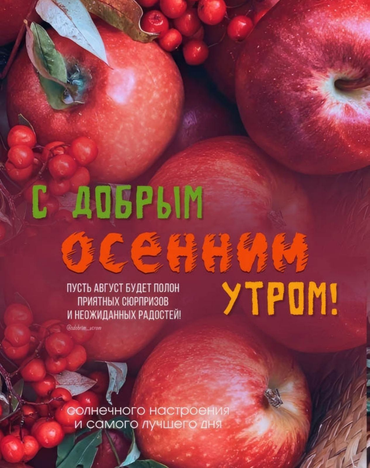 С добрым осенним утром! Пусть август будет полон приятных сюрпризов и неожиданных радостей! Солнечного настроения и самого лучшего дня