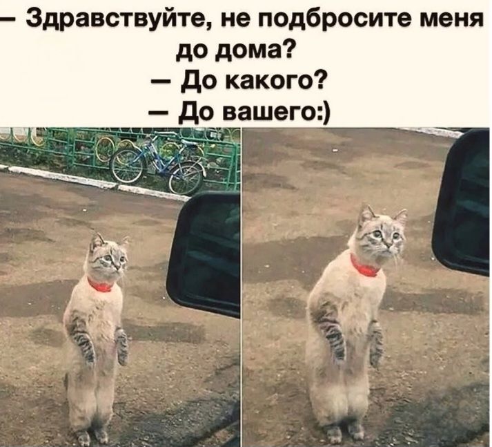 — Здравствуйте, не подбросите меня до дома? — До какого? — До вашего :)