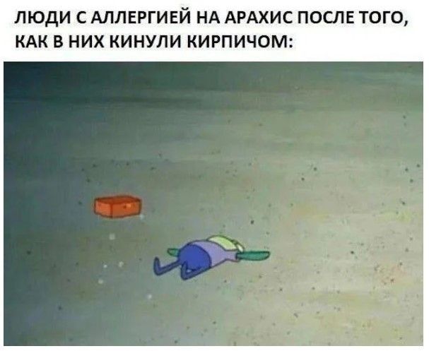 ЛЮДИ С АЛЛЕРГИЕЙ НА АРАХИС ПОСЛЕ ТОГО, КАК В НИХ КИНУЛИ КИРПИЧОМ: