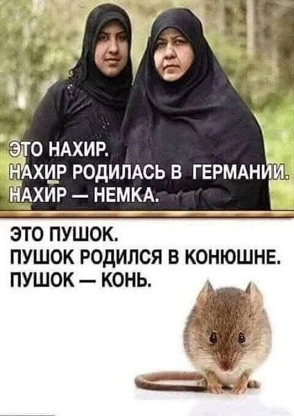 Это Нахир. Нахир родилась в Германии. Нахир — немка. Это Пушок. Пушок родился в конюшне. Пушок — конь.