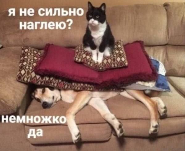 я не сильно наглею? немножко да