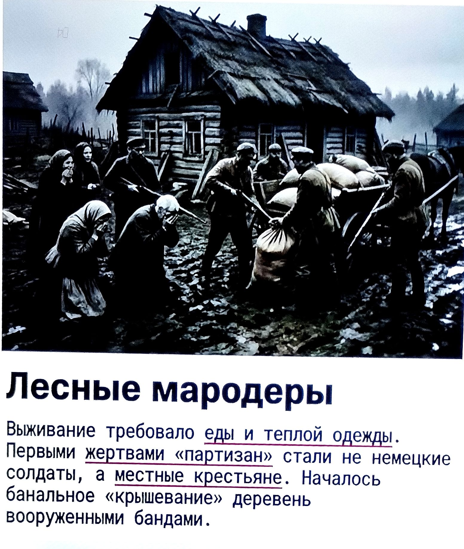Лесные мародеры. Выживание требовало еды и теплой одежды. Первыми жертвами «партизан» стали не немецкие солдаты, а местные крестьяне. Началось банальное «крышевание» деревень вооруженными бандами.